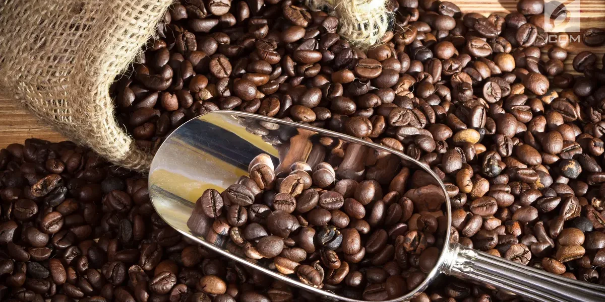 cara kerja mesin pengupas kopi basah