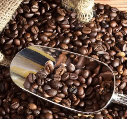 cara kerja mesin pengupas kopi basah
