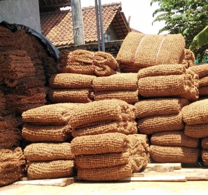 Ide Usaha Sabut Kelapa Peluang Bisnis dari Limbah