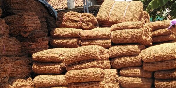 Ide Usaha Sabut Kelapa Peluang Bisnis dari Limbah
