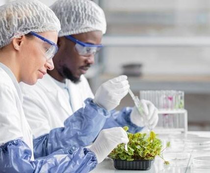 Sabut Kelapa untuk Bioteknologi Hijau