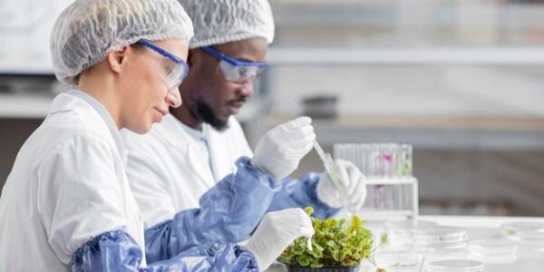 Sabut Kelapa untuk Bioteknologi Hijau