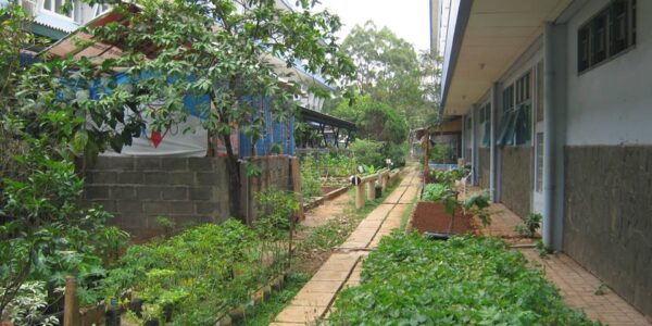 Edukasi cocomesh untuk program green school