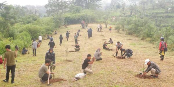 Kolaborasi Siswa dalam Proyek Cocomesh