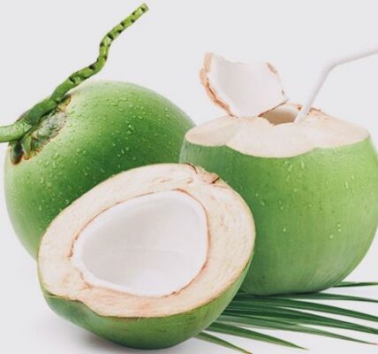 cara usaha kelapa muda