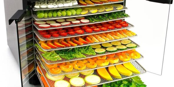 kegunaan mesin pengering makanan