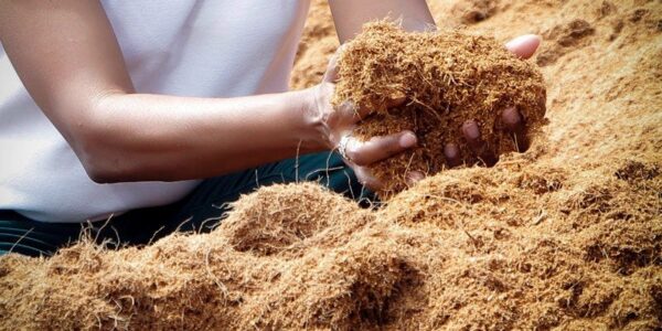 Cara Membuat Kompos dari Sabut Kelapa