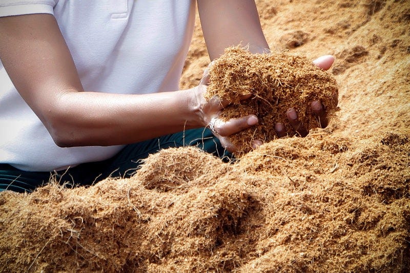 Cara Membuat Kompos dari Sabut Kelapa