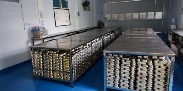 perbandingan dapur mbg