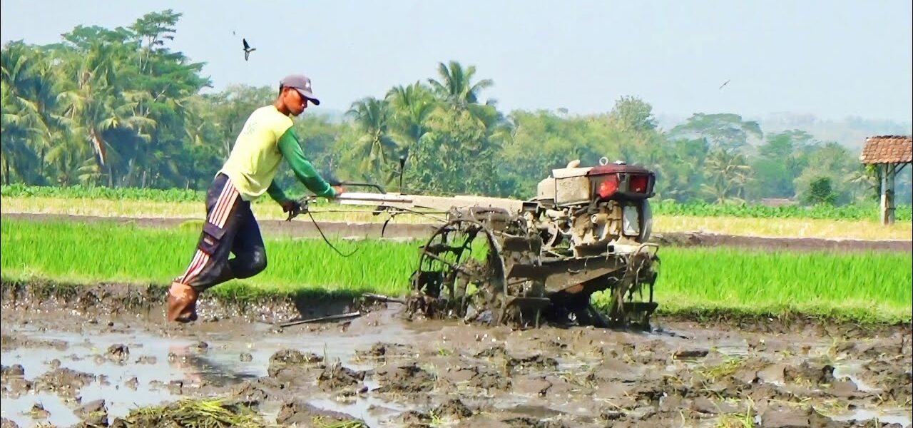 usaha jasa bajak sawah