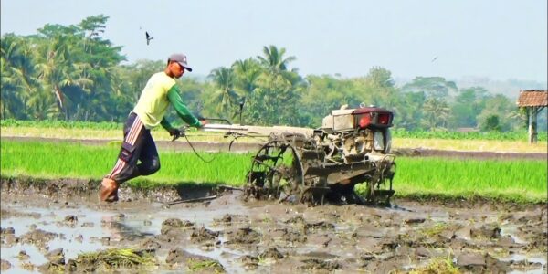 usaha jasa bajak sawah