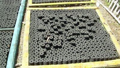 charcoal distributor indonesia order