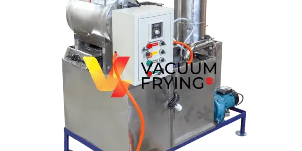mesin vacuum fryer buah renyah