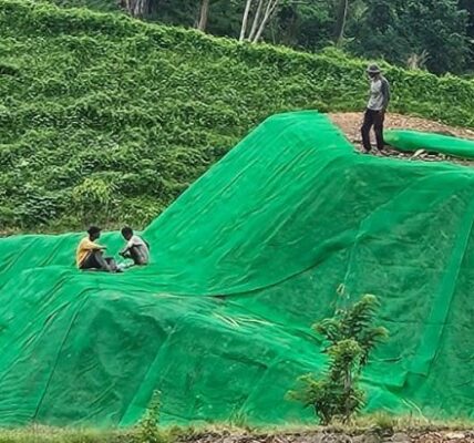 Solusi Alami untuk Melapisi Tanah