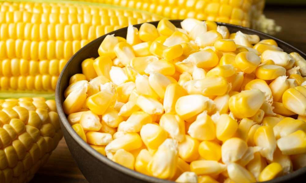 Manfaat Utama Alat Pemipil Jagung