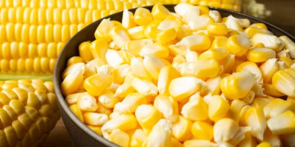 Manfaat Utama Alat Pemipil Jagung