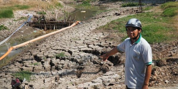 pemanfaatan lahan tidak subur