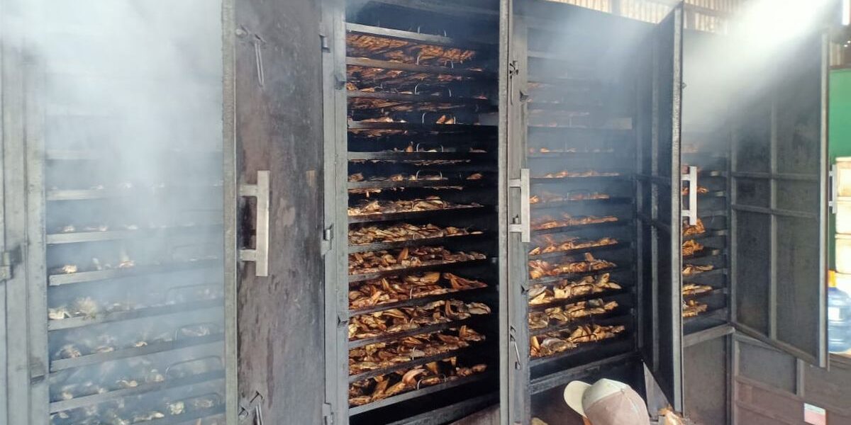 cara mengasapi daging pakai lemari