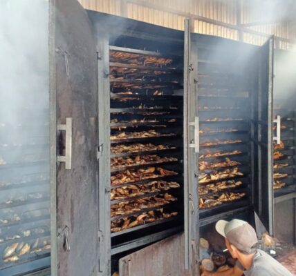 cara mengasapi daging pakai lemari