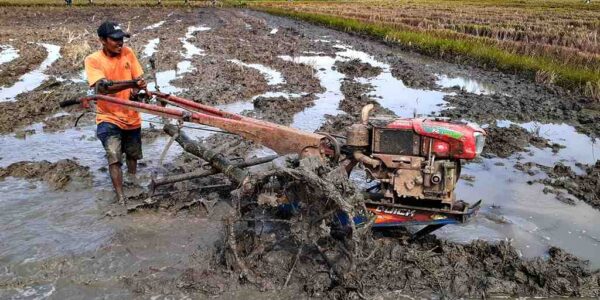 Cara Membajak Sawah Lebih Cepat