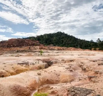 Mengapa Tanah Bekas Tambang Sulit Ditumbuhi Tanaman