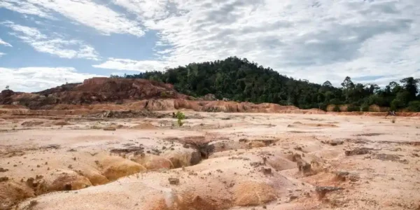 Mengapa Tanah Bekas Tambang Sulit Ditumbuhi Tanaman
