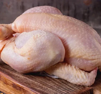 proses pencabutan bulu ayam