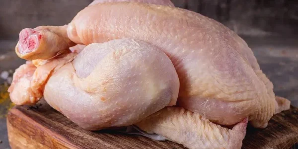 proses pencabutan bulu ayam