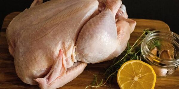 cara mencabut bulu ayam cepat