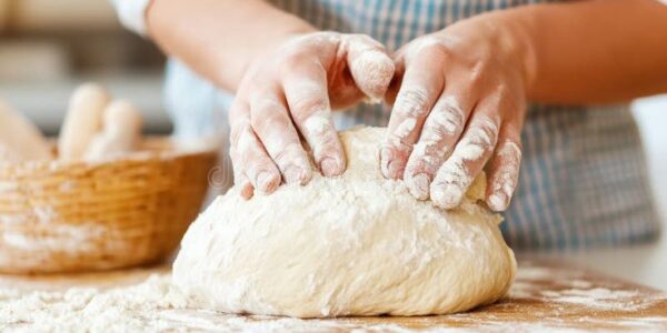 proofing roti untuk usaha bakery